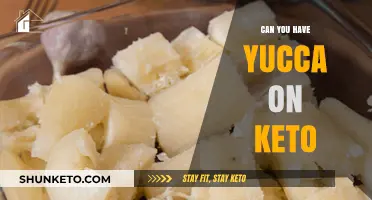 Is Yucca Keto-Friendly? Discover Its Low-Carb Benefits and Uses