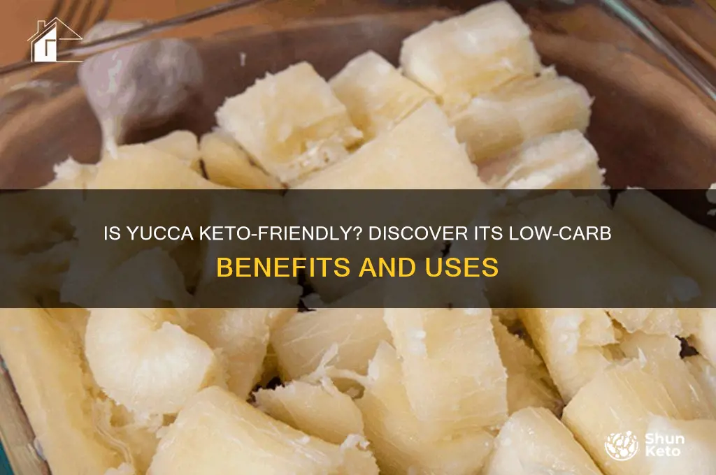 can you have yucca on keto