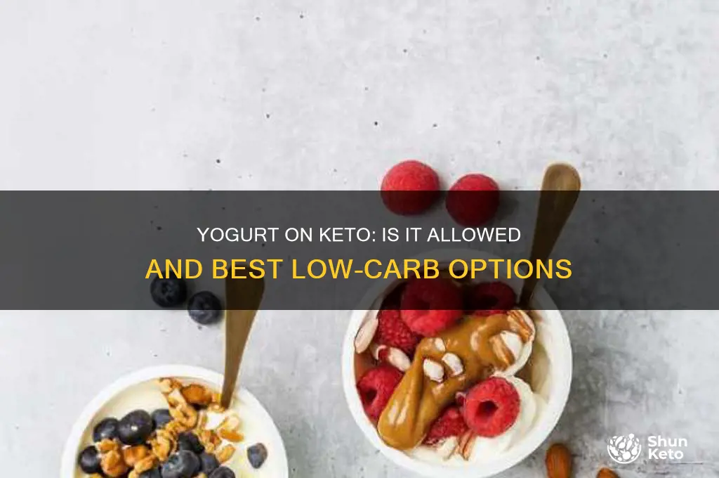 can you haveyogurt on a keto diet