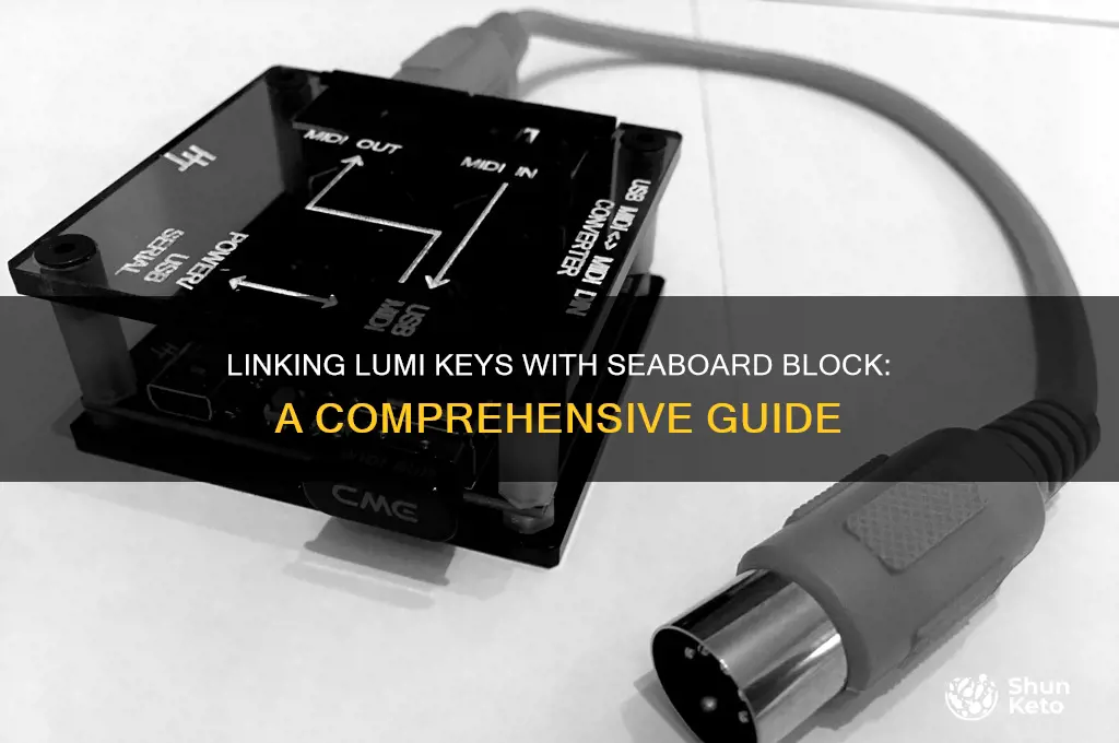 can you link lumi kets together with seaboard block