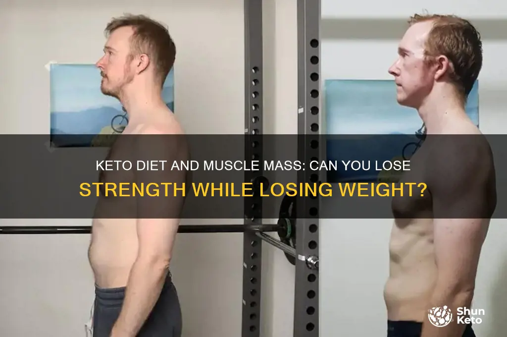 can you lose muscle mass on the keto diet