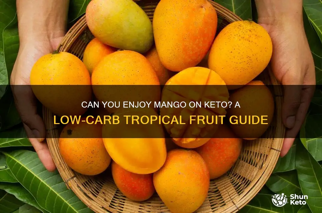 can you mango on keto