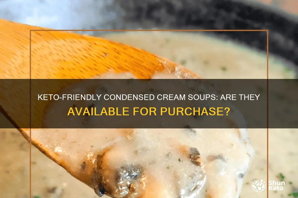 can you purchase condensed cream soups for keto