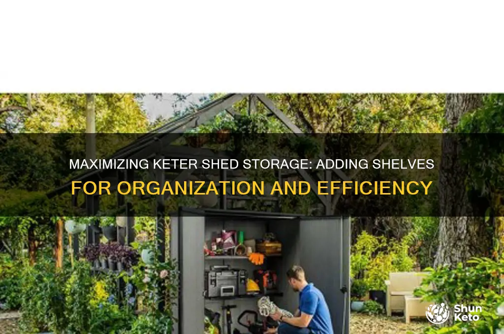 can you put shelves in a keter shed