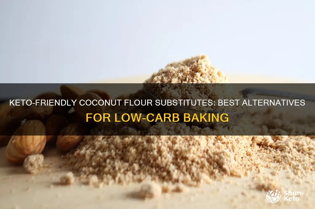 can you replace coconut flour with anything for keto