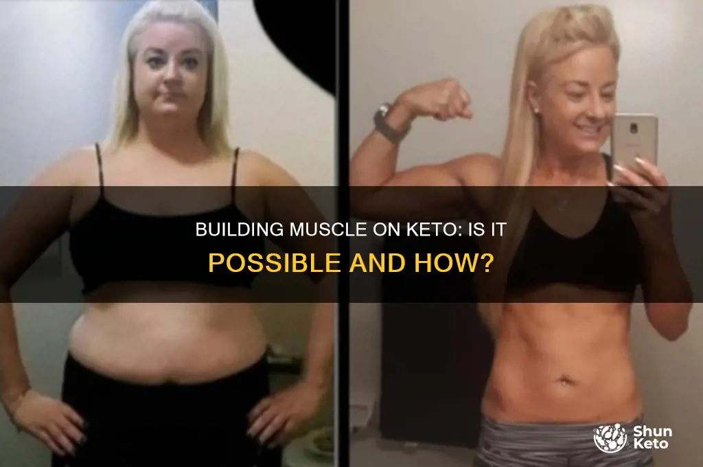 can you still gain muscle on keto diet