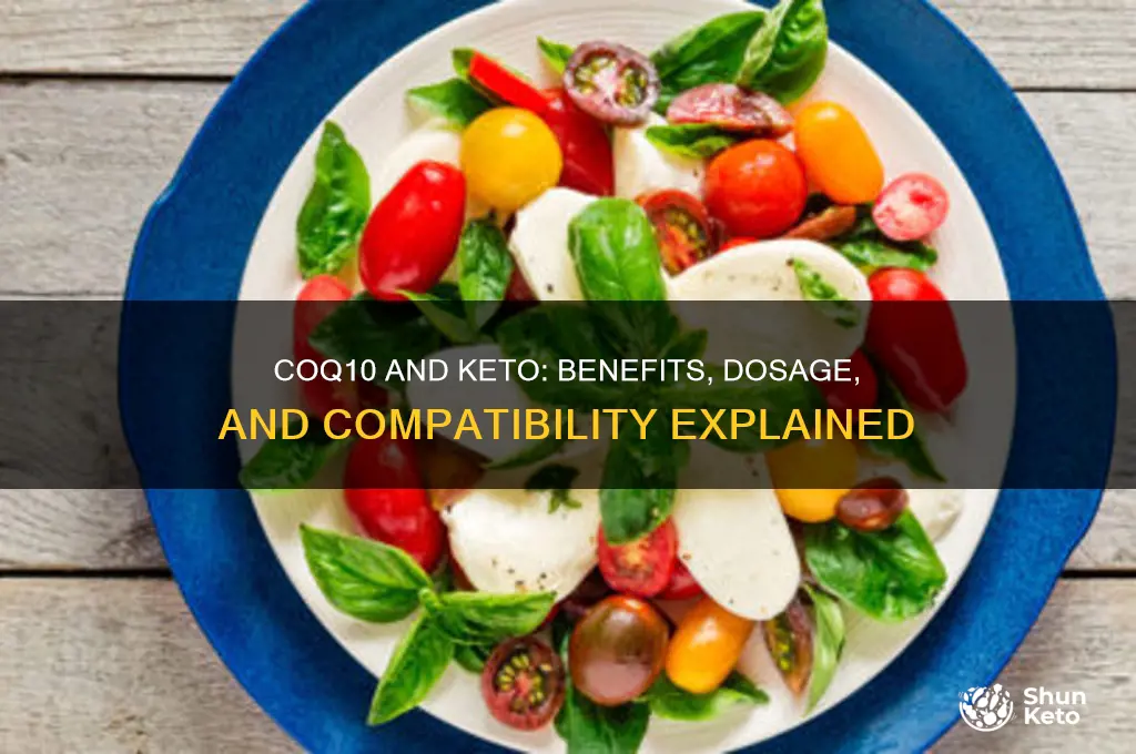 can you take coq10 on a keto diet