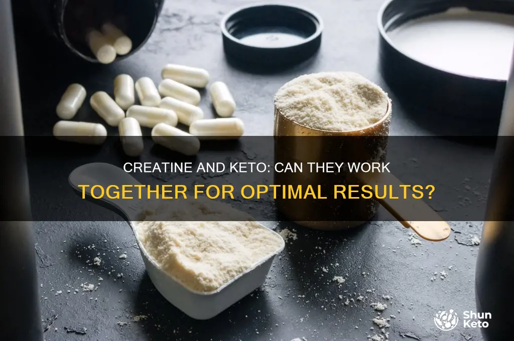 can you take creatine on a keto diet