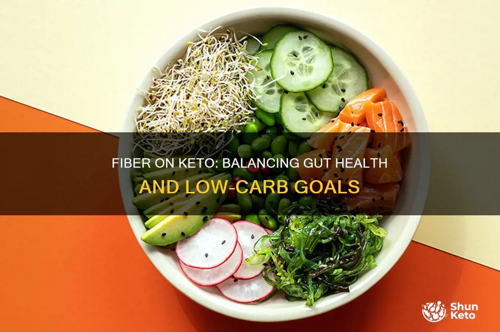 can you take fiber on a keto diet