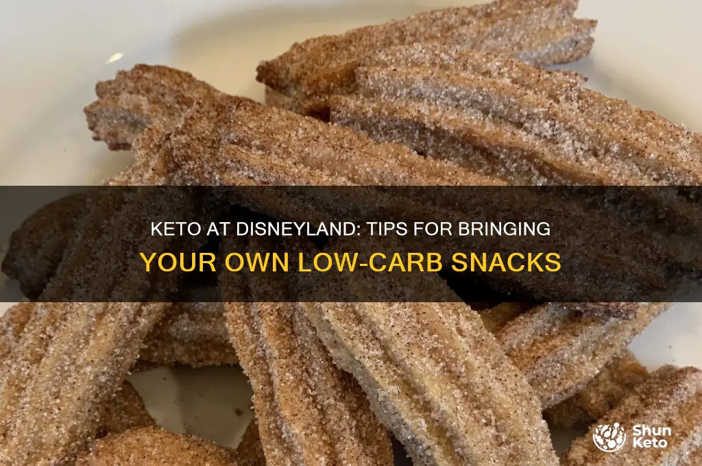 can you take food into disneyland keto