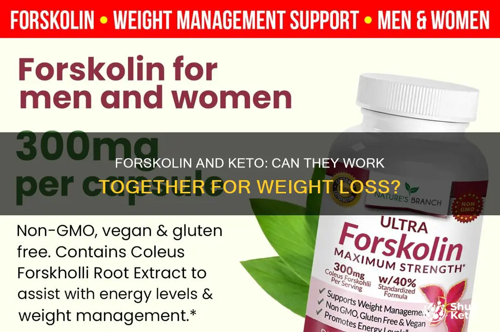 can you take forskolin on keto