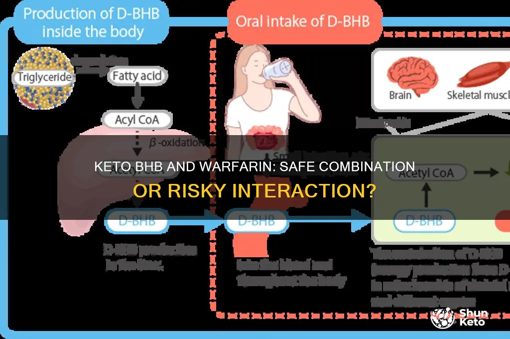 can you take keto bhb with warfarin