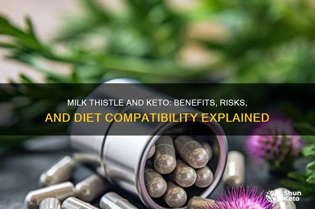 can you take milk thistle on keto diet