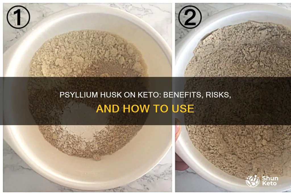 can you take psyllium husk on keto diet