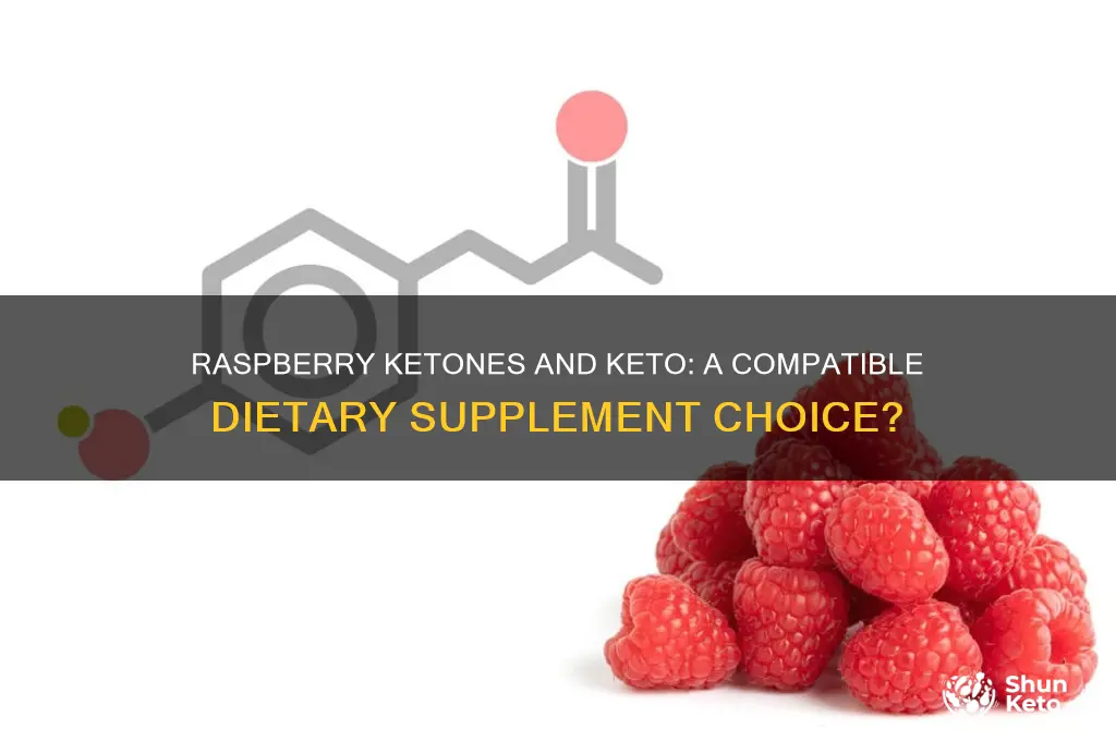 can you take raspberry ketones on a keto diet
