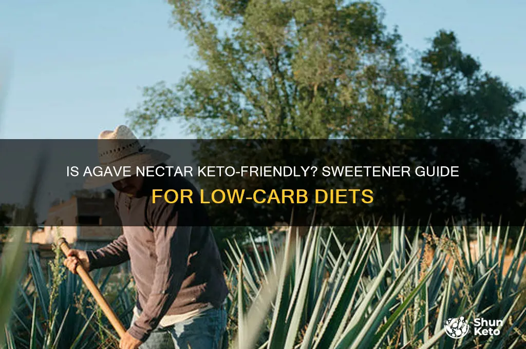 can you use agave nectar in keto diet
