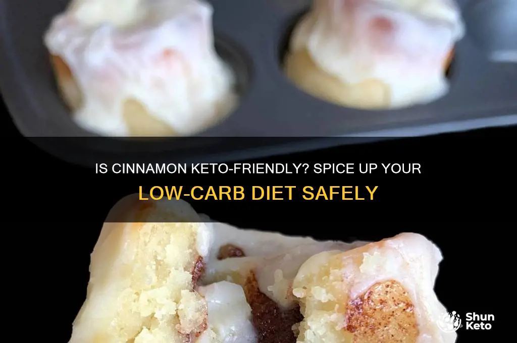 can you use cinnamon on keto diet