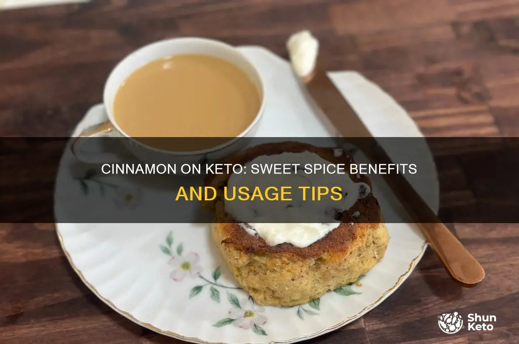 can you use cinnamon on keto