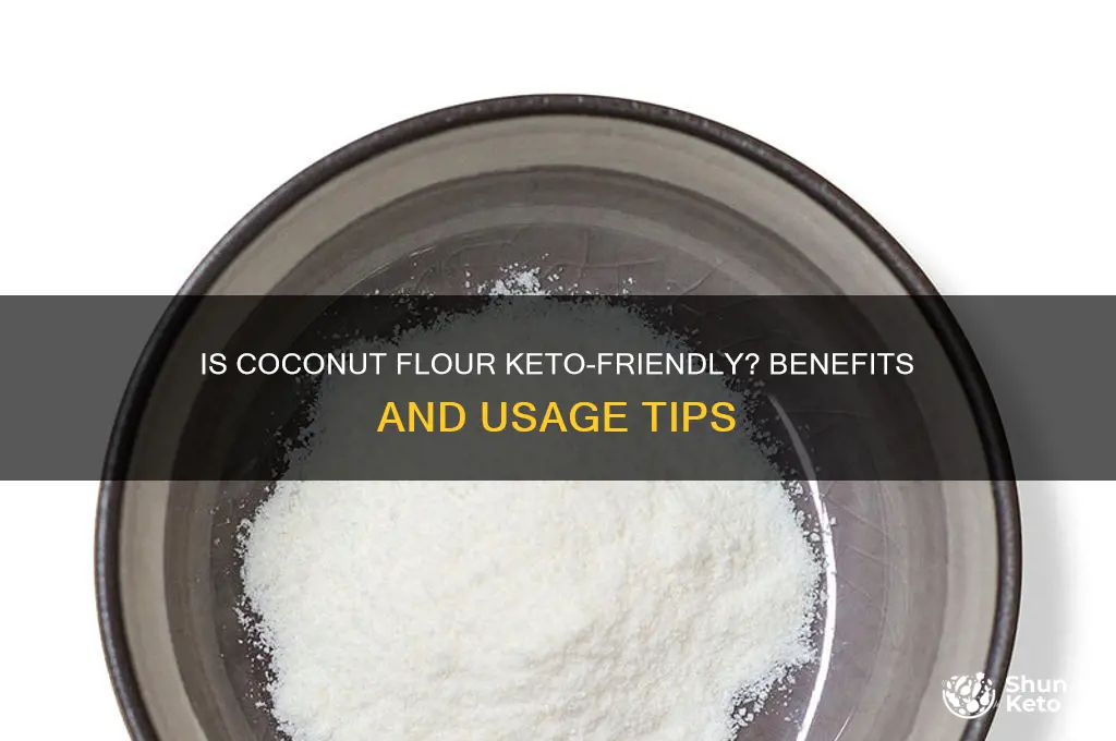 can you use coconut flour on keto diet
