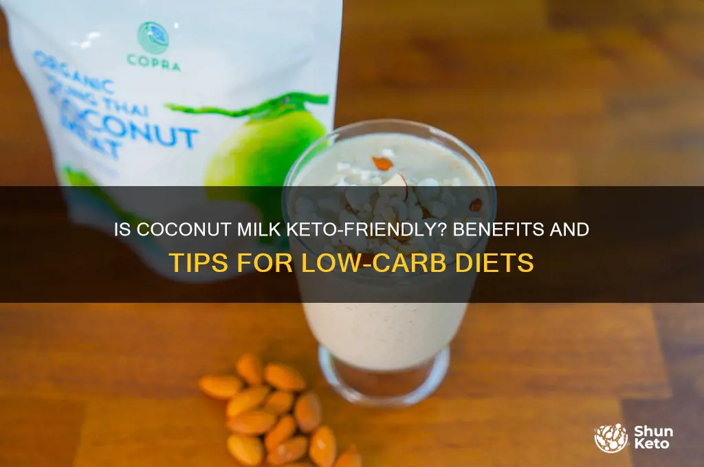 can you use coconut milk on keto diet