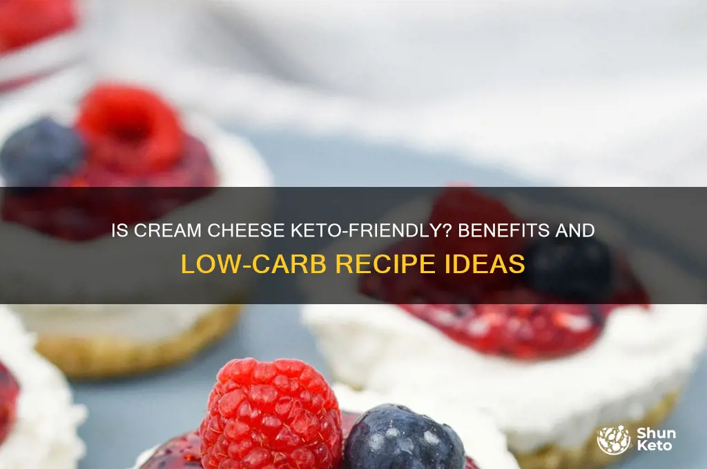 can you use cream cheese on keto diet