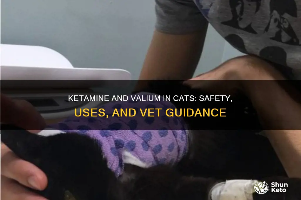 can you use ket val in cats