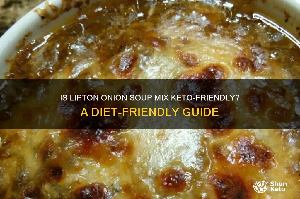 can you use lipton onion soup mix on keto