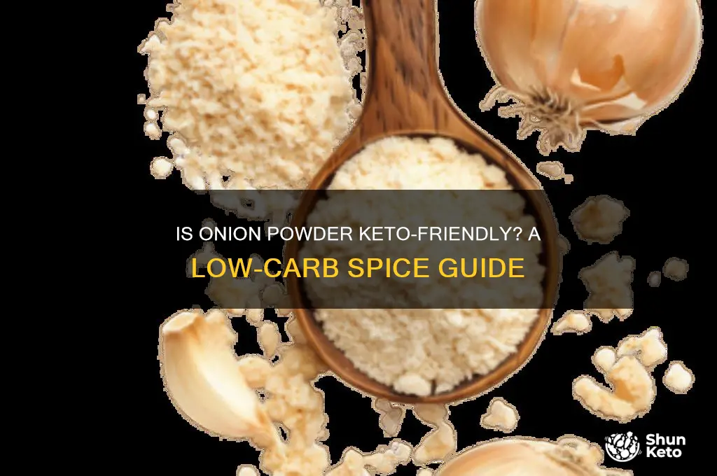 can you use onion powder on keto