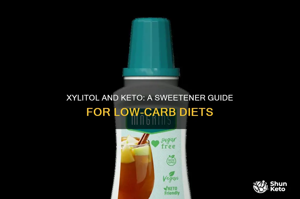can you use xylitol on keto