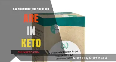 Keto Urine Testing: Can Your Pee Confirm Ketosis?