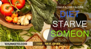 Calorie Counting: Can 1200 Starve You?
