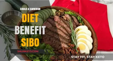 Meat-Based Diet: A Solution to SIBO?