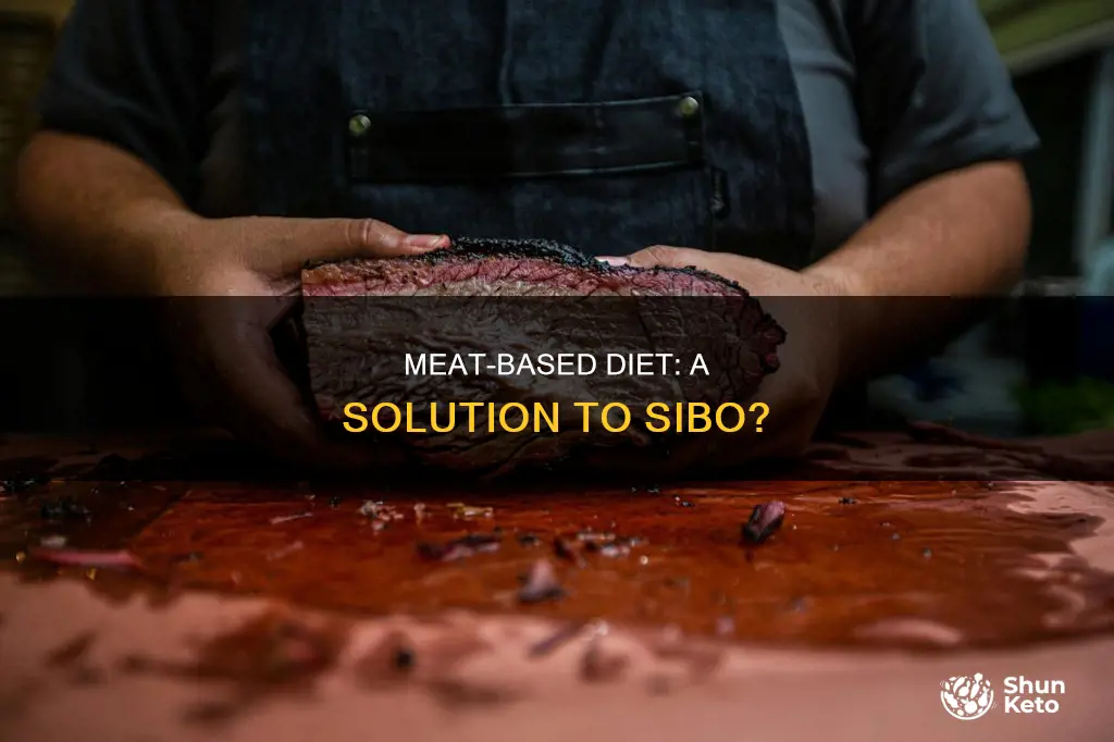 could a carnivor diet benefit sibo