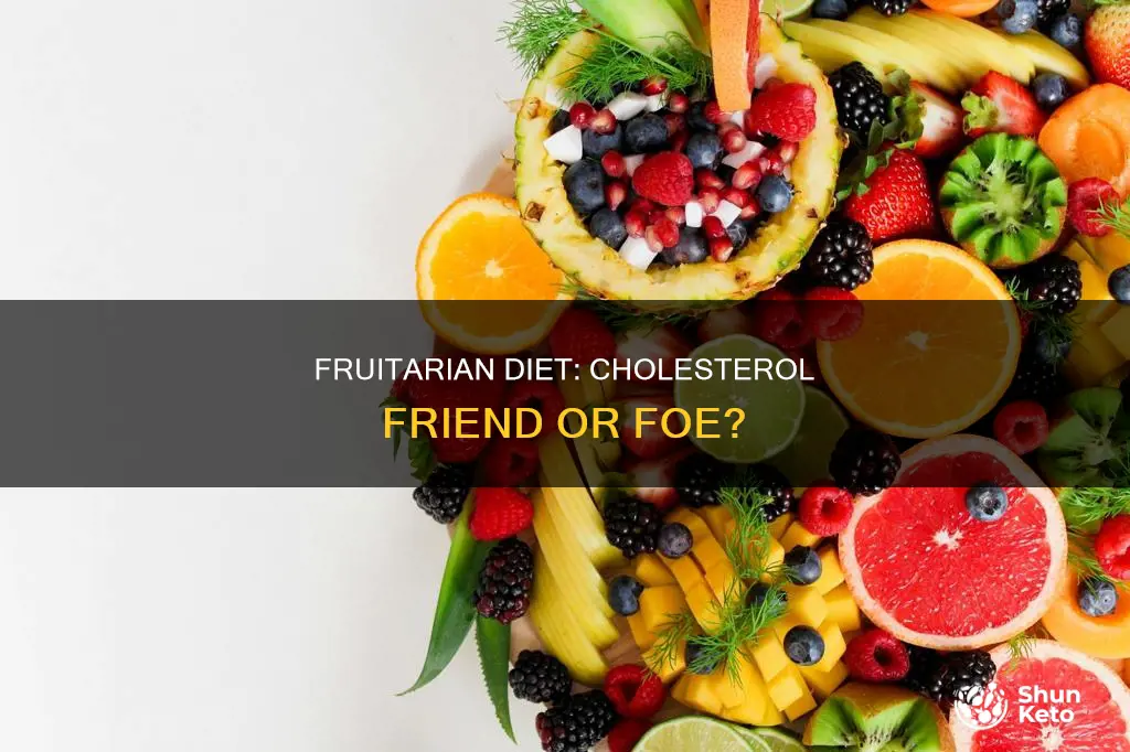 could a fruitarian diet increase your cholesterol