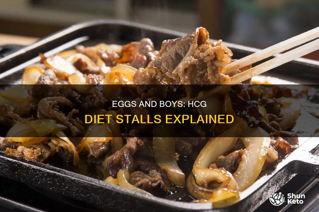 could boies eggs stall you on hcg diet