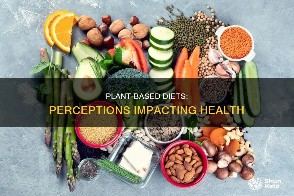 could individuals perception of a plant based diet impact effect