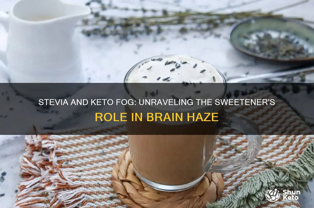 could keto fog be traced to stevia