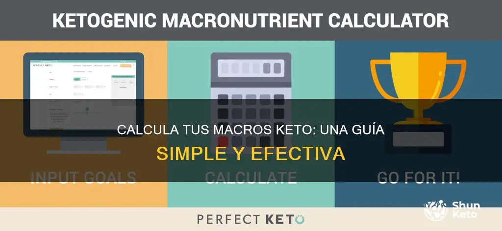 cómo calcular los macros en keto