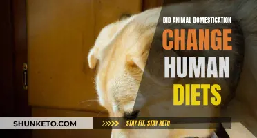 How Animal Domestication Transformed Human Diets and Nutrition