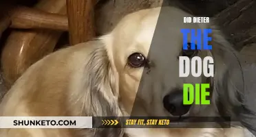 The Sad Demise of Dieter, the Beloved Dog