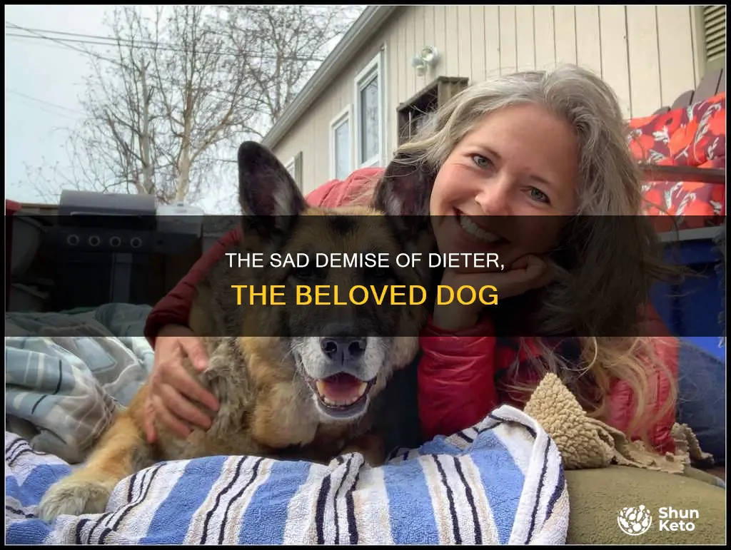 did dieter the dog die
