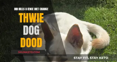 How Hills Science Diet Changed My Dog's Mood