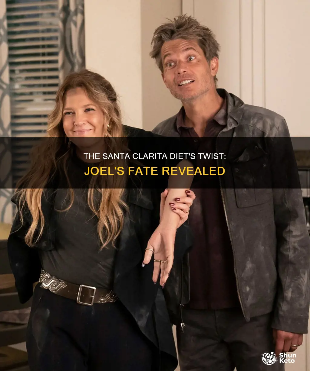 did joel die in santa clarita diet