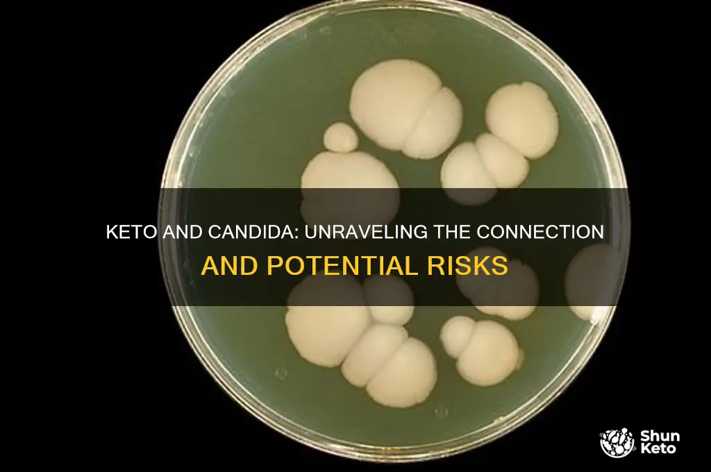 did keto activate candida