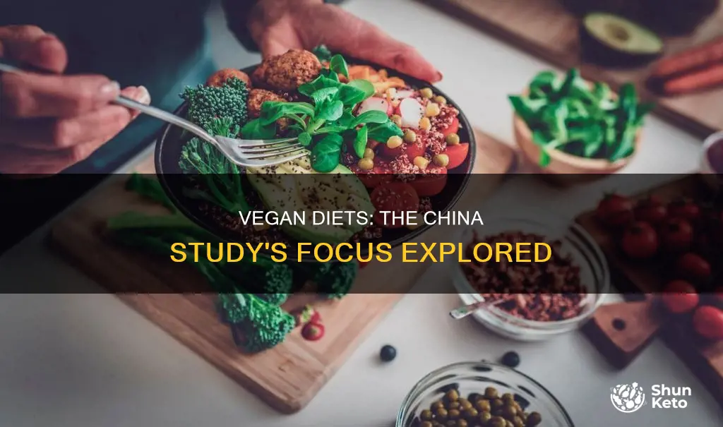 did the china study focus on vegan diets