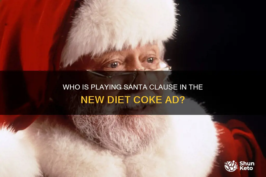 did they switch actors on santa chlarts diet for gray