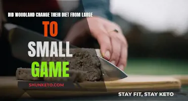 Woodland Diet Shift: Large to Small Game