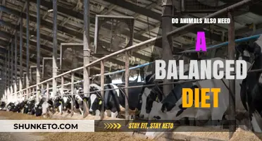 Healthy Diets: Animals Need Balance, Too!