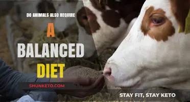 Animal Nutrition: Balanced Diets for Health
