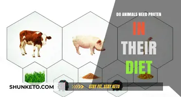 Protein Power: Do Animals Need It?